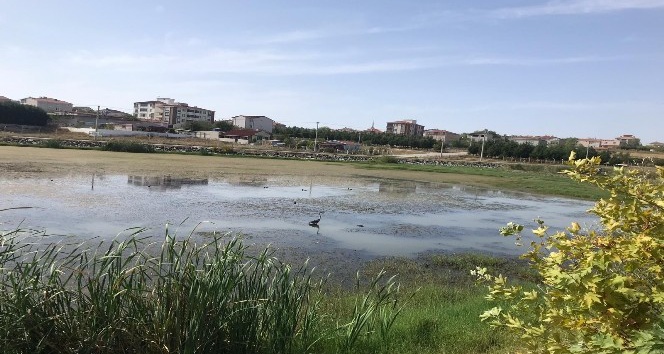 Marmaracık Göleti temizleniyor