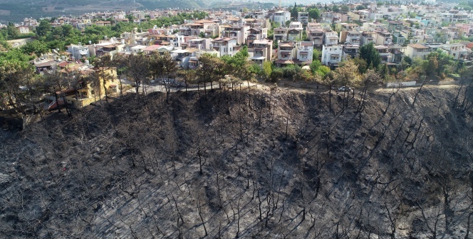 Yangın mağdurları PKK'ya lanet okudu