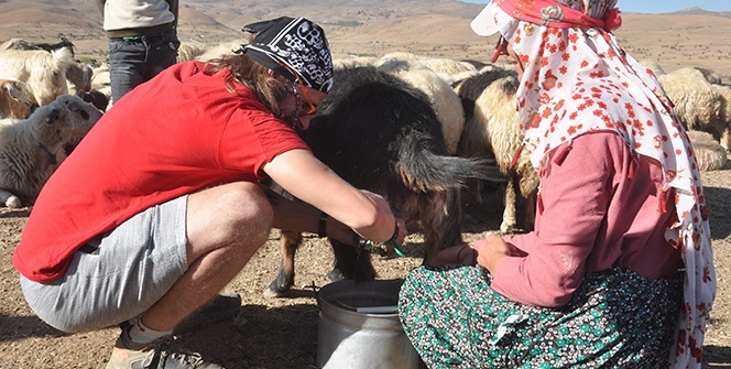 Yüksekova’ya hayran kalan İtalyan, koyun sağmayı öğrendi