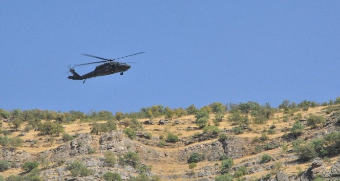 Bestler Dereler bölgesinde kış üstlenmesi hazırlığındaki teröristlere operasyon