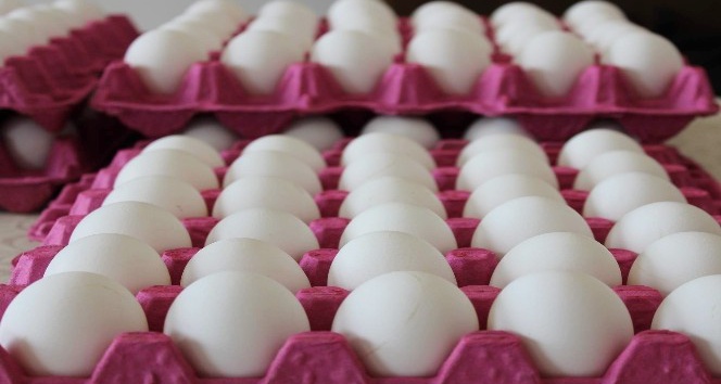 Yumurta fiyatlarındaki yükseliş devam ediyor