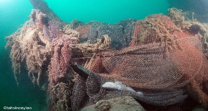 Almanya’nın tarihi deniz altısı U-20 balıkçı ağlarıyla kaplı olarak Sakarya’da fotoğraflandı