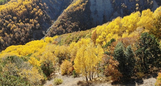 Erzincan’da sonbaharda renk cümbüşü