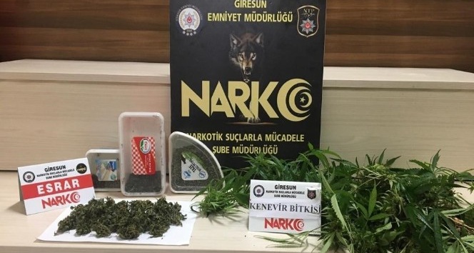 Giresun’da uyuşturucu operasyonunda 1 kişi tutuklandı