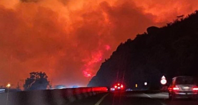 Suudi Arabistan'da dağlık alanda büyük orman yangını