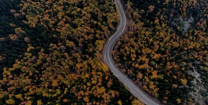 Uludağ’da hazan mevsimi