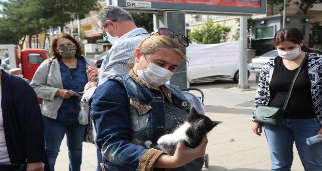 Gaziemir’de sokak hayvanları yeni yuvalarına kavuştu