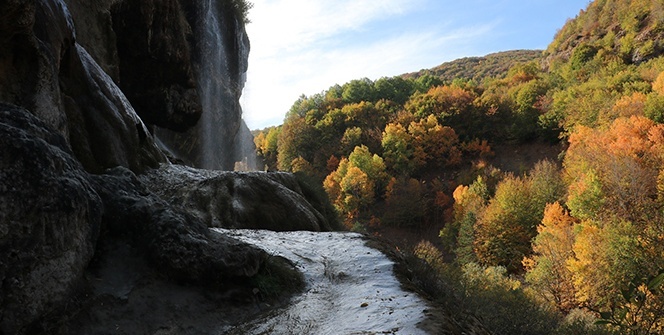 Rengarenk görüntüsüyle hayran bırakıyor