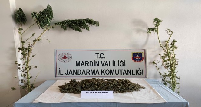 Mardin’de uyuşturucu operasyonu