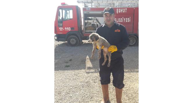 Kanalizasyon borusuna sıkışan yavru köpeği itfaiye ekipleri kurtardı