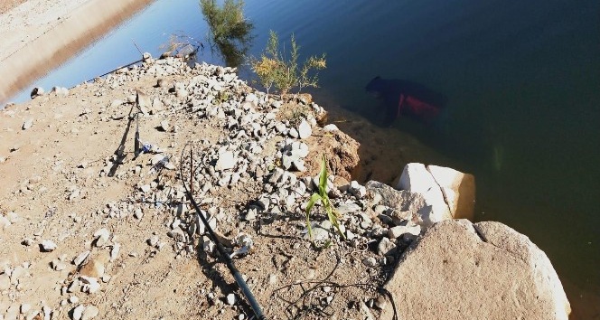 Karova Barajında şüpheli ölüm