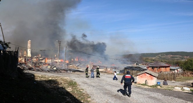 Bolu’da, köyde çıkan yangın 12 evi kül etti