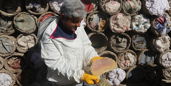 Dünyaca ünlü Bitlis’in 'karakovan' balının hasadına başlandı