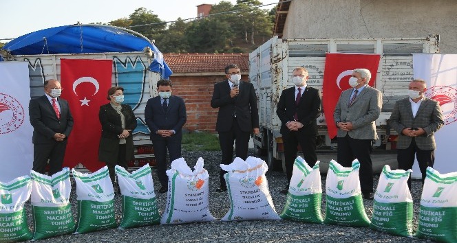 Çiftçilere 75 ton Macar Fiği tohumu dağıtıldı
