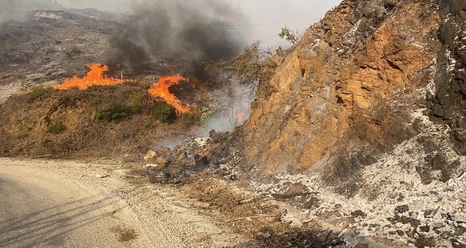 Adana’daki orman yangınına müdahale sürüyor