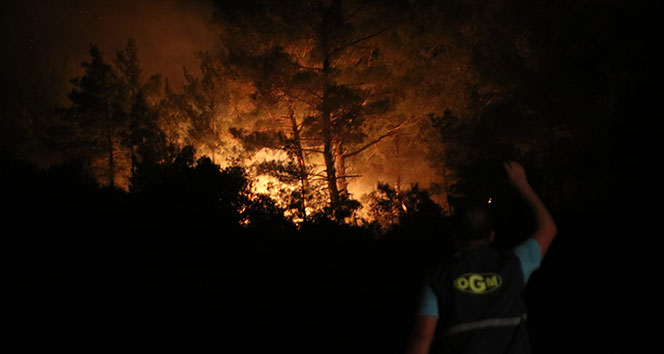 Mersin&#039;deki orman yangını kontrol altına alındı