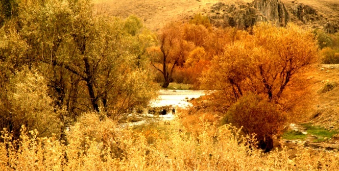 Yüksekova’da sonbahar güzelliği