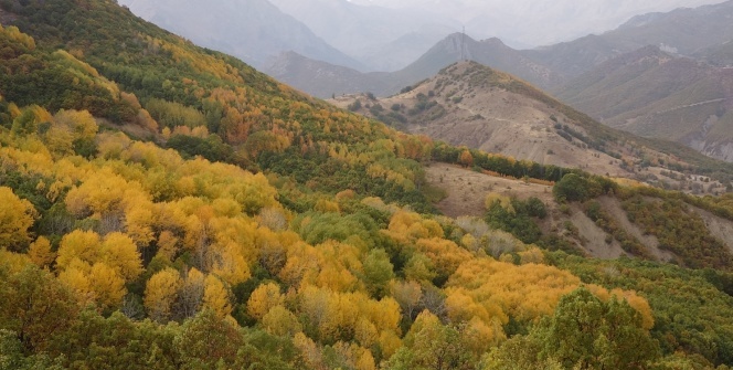 Tunceli’de sonbahar güzelliği renk cümbüşü sunuyor