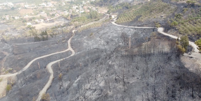 Hatay'da yanan alanlar havadan görüntülendi! Yürek yakan görüntü