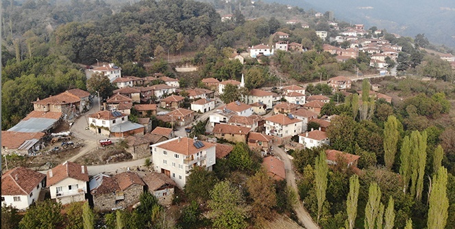 Korona virüs bu köye uğramadı