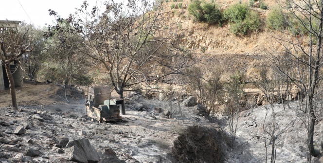 Yangının acı yüzü gün aydınlanınca ortaya çıktı