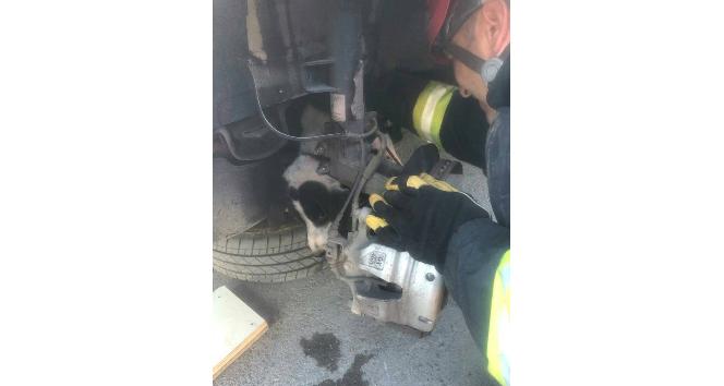 Aracın tekerliğinde sıkışan köpeği itfaiye kurtardı