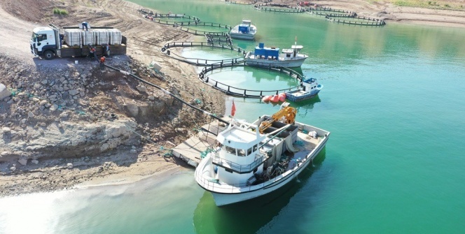 Denizi olmayan Kayseri'den Japonya ve Rusya'ya 'Somon' ihracatı