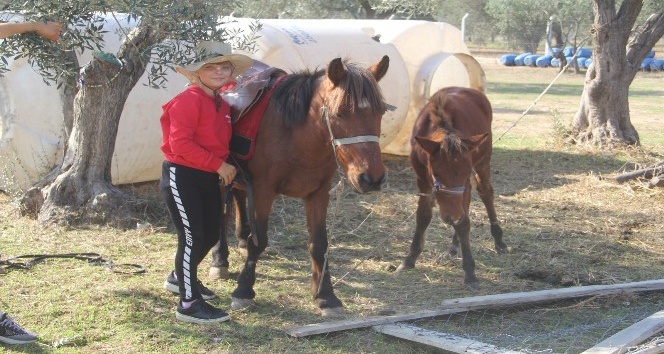 11 yaşında at binip, engeller üzerinden atlıyor