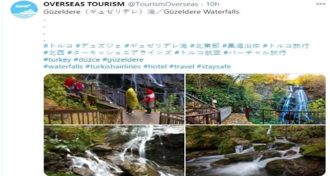 Japon turistlere Düzce tanıtımı yapılıyor