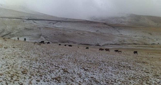 Karagöl Dağı’na mevsimin ilk karı yağdı
