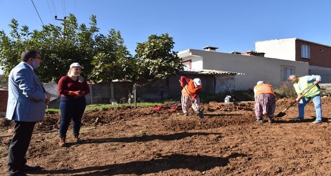 Çan Belediyesi 20 bin salep fidesini toprakla buluşturuyor