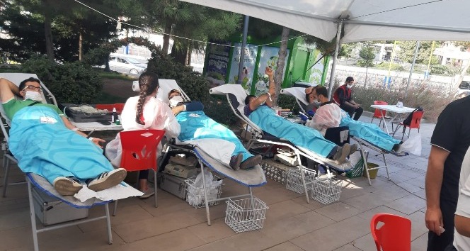 Vakalar yükseldi, immün plazma bağışına ihtiyaç arttı