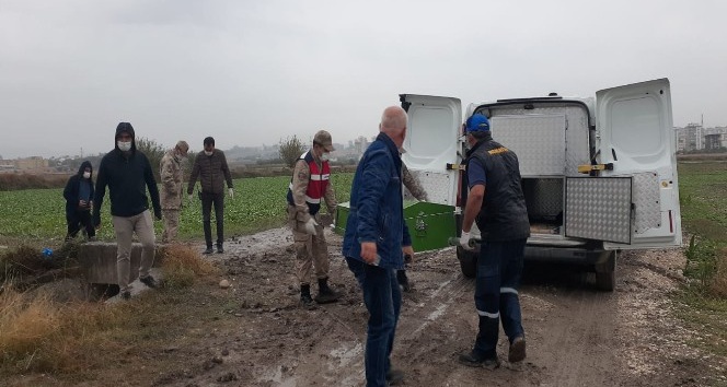 Osmaniye’de çifte cinayet