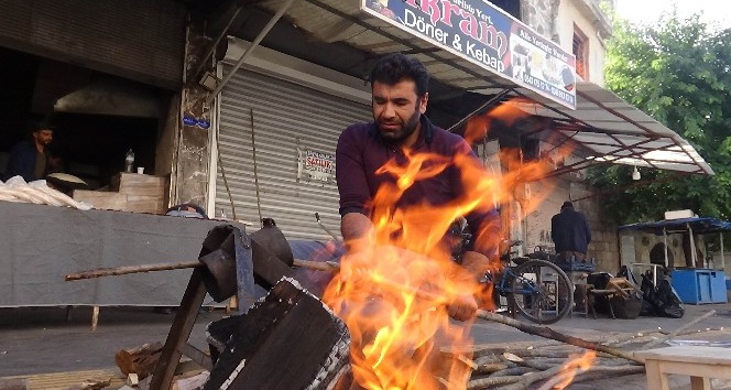 (Özel Haber) Zeytin hasadında geleneksel yöntem ’sırık’