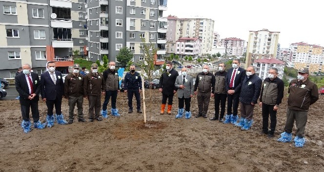 Ordu’da 540 bin 300 adet fidan toprakla buluştu