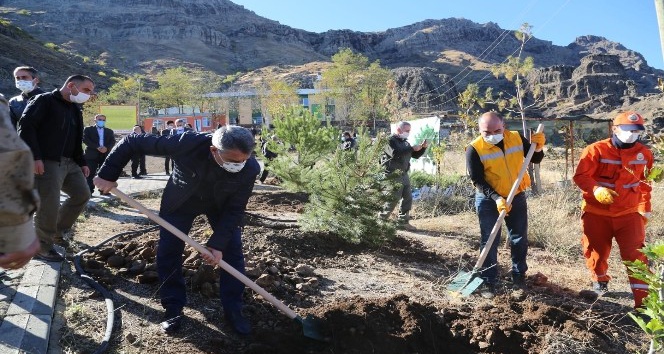 Tunceli’de binlerce fidan toprakla buluştu