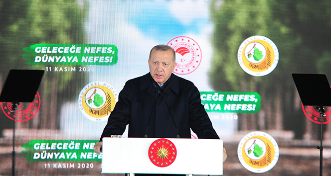 Cumhurbaşkanı Erdoğan: 'Sahte çevrecilere aldırmadan çalışmalara devam ediyoruz'