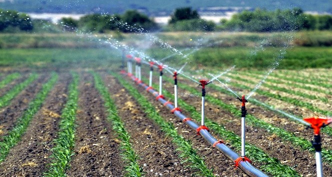 Şırnak’ta 25 bin dekar tarım arazisi sulandı
