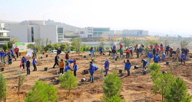 Şırnak’ta 68 bin fidan toprakla buluştu