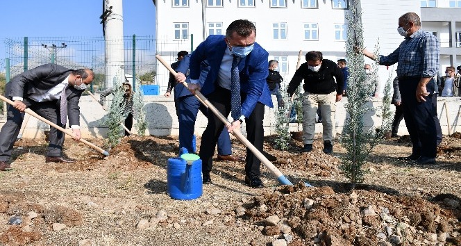 Teröristlerin yaktığı ormanlar yeniden hayat buluyor