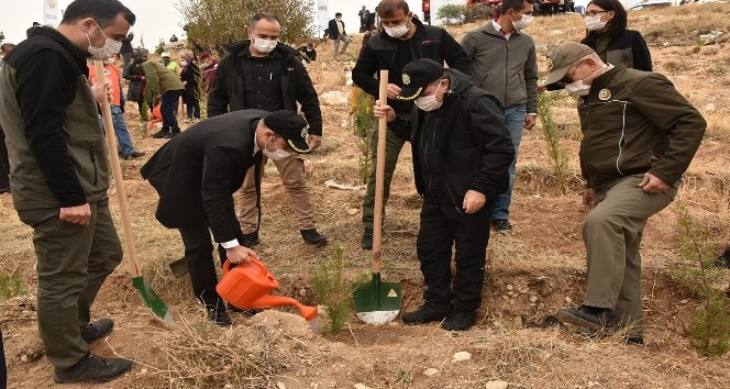 Karaman’da ağaçlandırma gününde 10 bin fidan toprakla buluştu