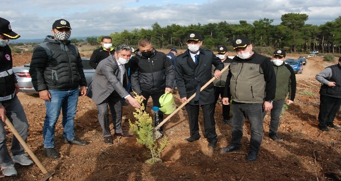 Bayramiç’te 10 bin fidan toprakla buluştu