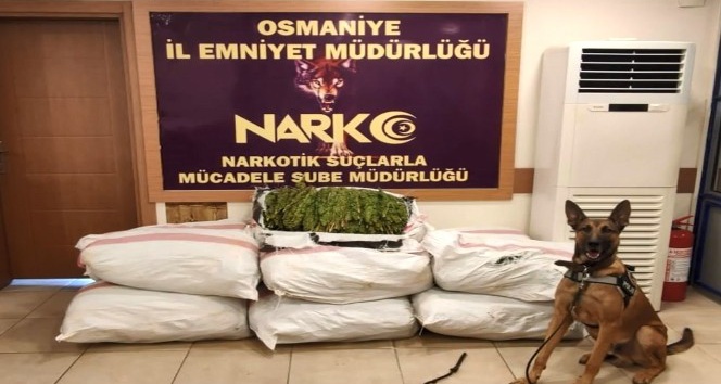 Osmaniye’de tır dorsesinde 135 kilo esrar ele geçirildi