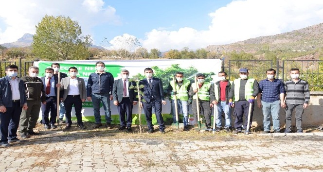 Beytüşşebap’ta fidanlar toprakla buluştu