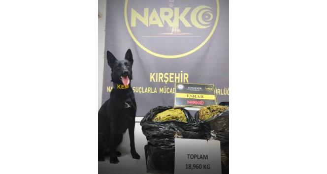 Kırşehir’de uyuşturucu operasyonu uyuşturucu köpeği 19 kilogram uyuşturucu buldu