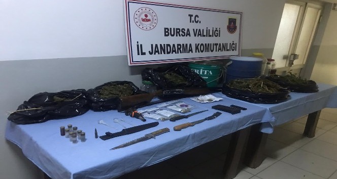 Bursa Yerel Haber