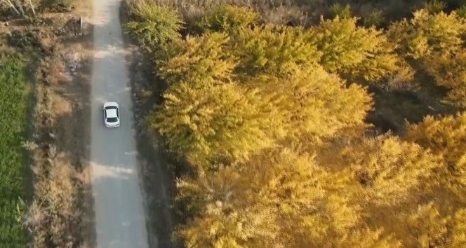 Iğdır’da sonbahar güzelliği havadan görüntülendi