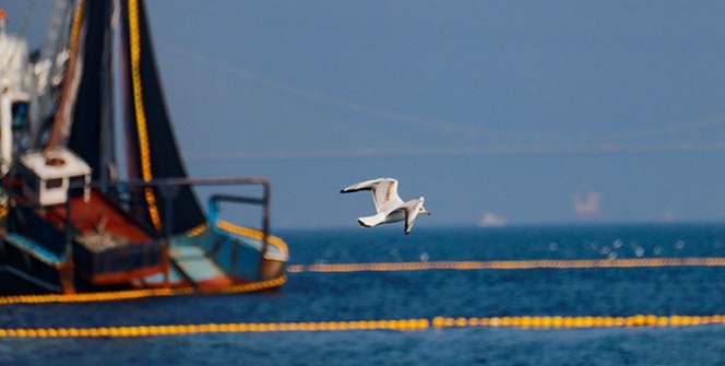 Balıkçı tekneleri, İstanbul Boğazı’nın eşsiz manzarasıyla birleşti