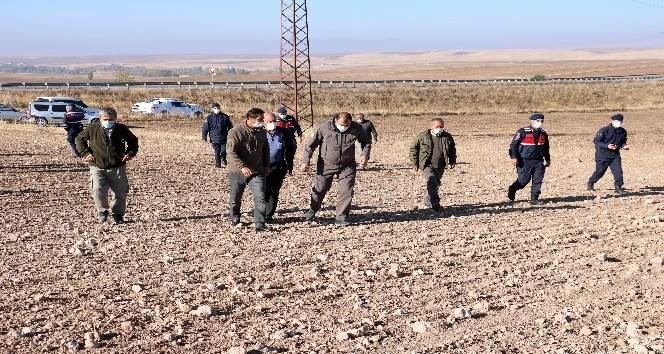 Yozgat’ta ölü bulunup gömüldüğü iddia edilen yakalı toy kuşu ile ilgili araştırma
