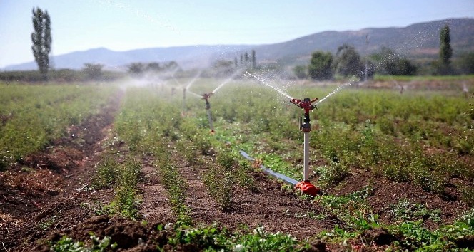 Tokat’ta sulu tarımla ülke ekonomisine 360 milyon katkı sağlandı
